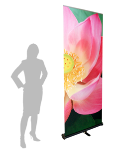 The Set Retractable Banner